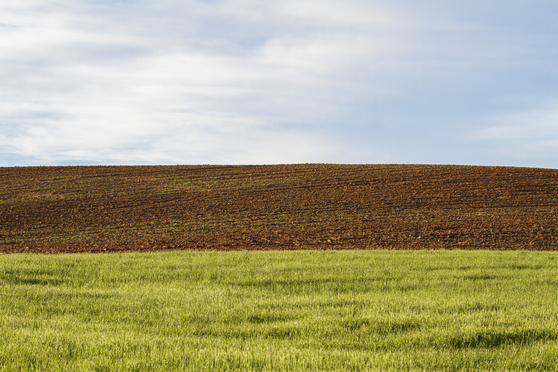 Fotografía artistica 10