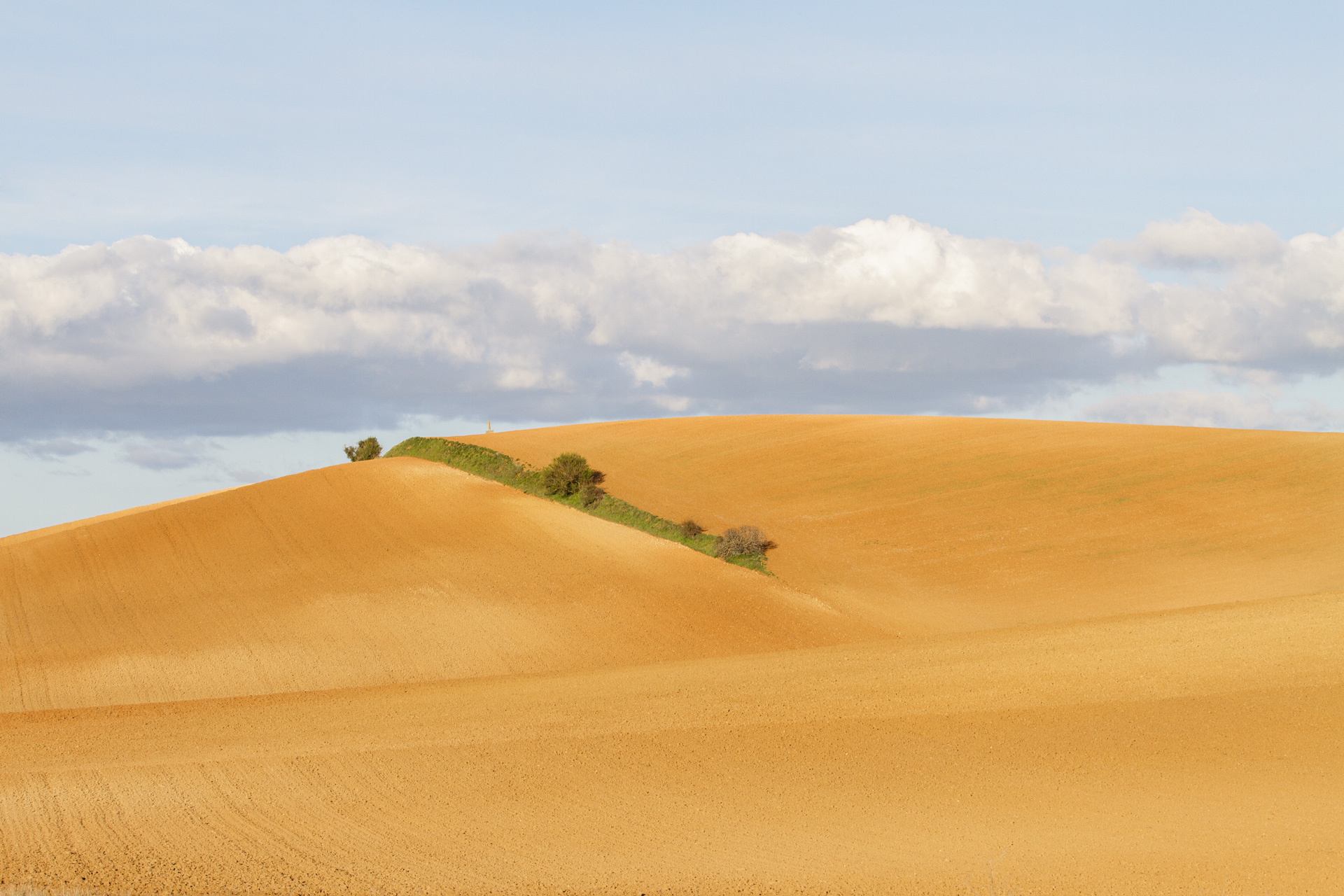 Fotografía artistica 11