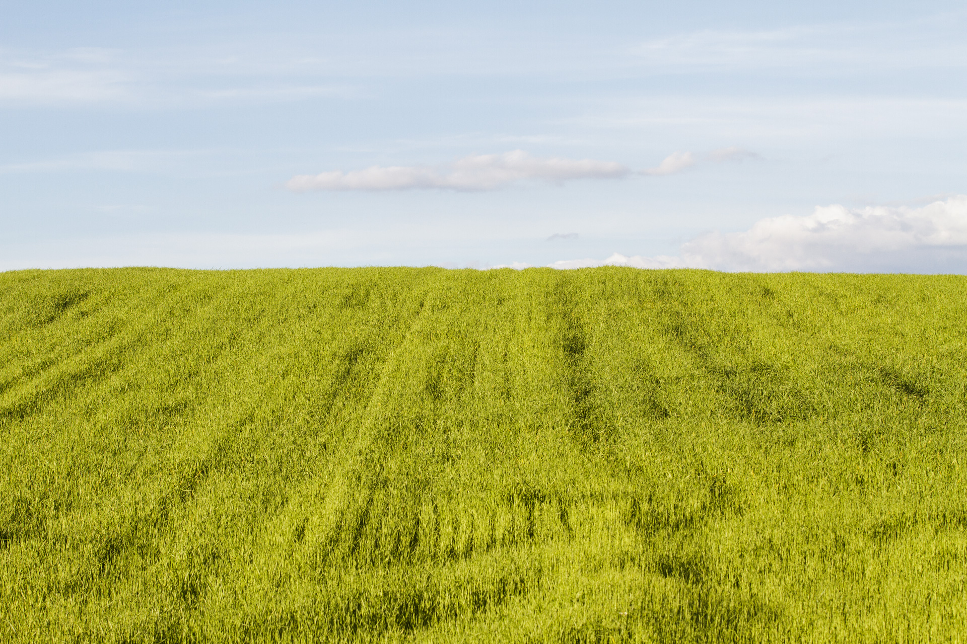 Fotografía artistica 9