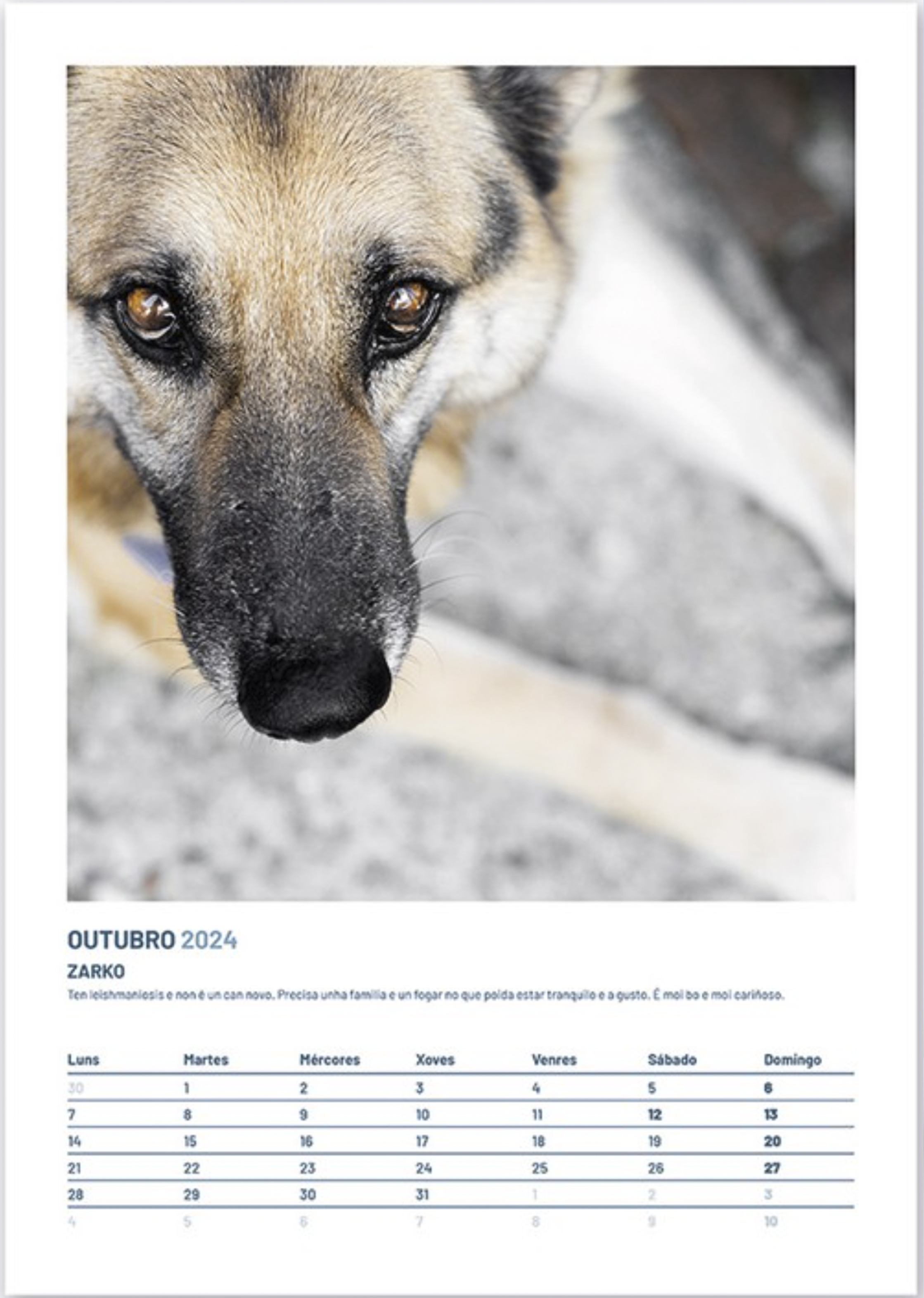 Fotografía empresa 14